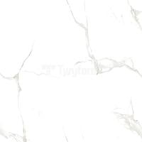 FGC66198T